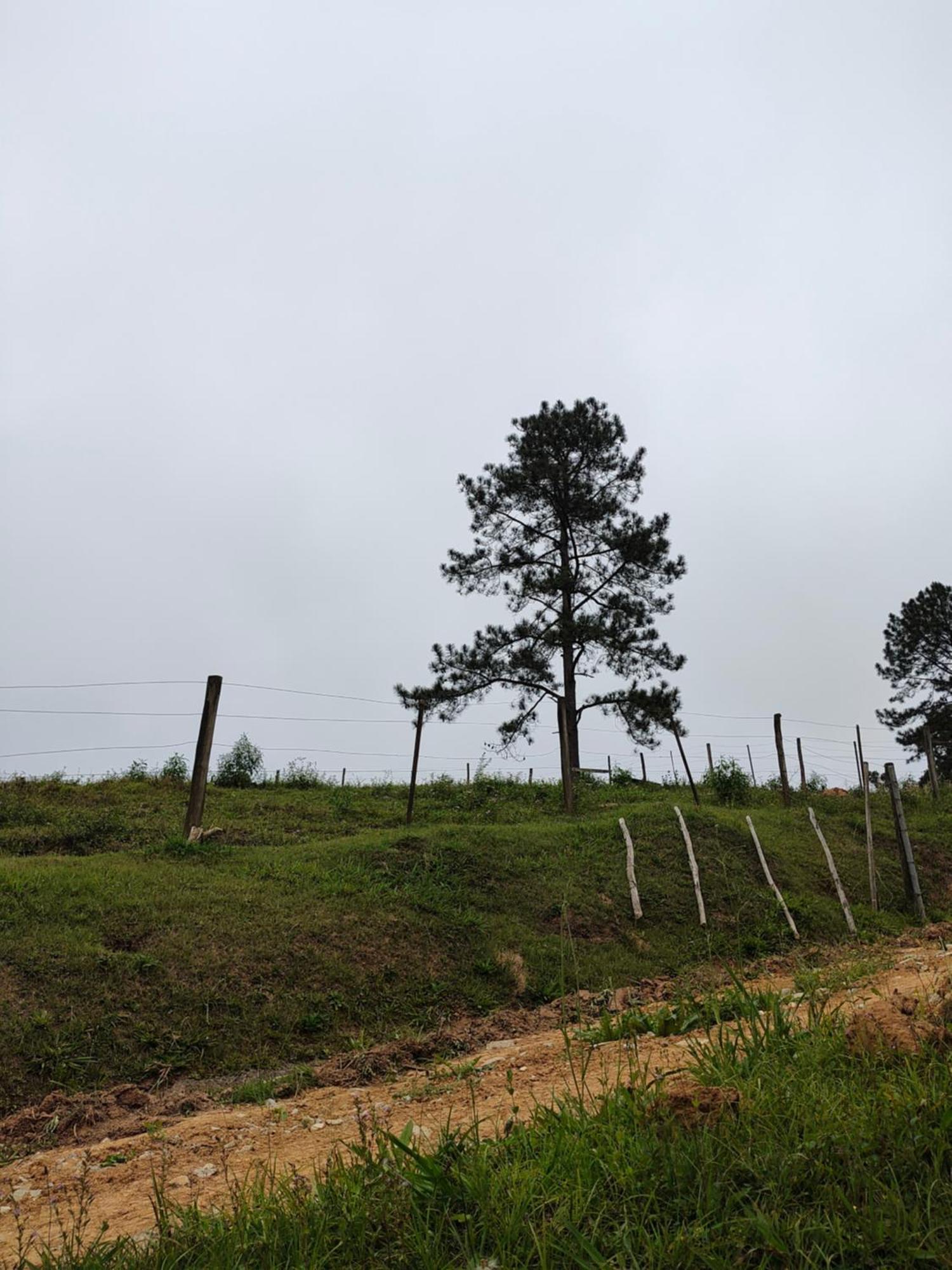 Paineiras Rural Farm stay *