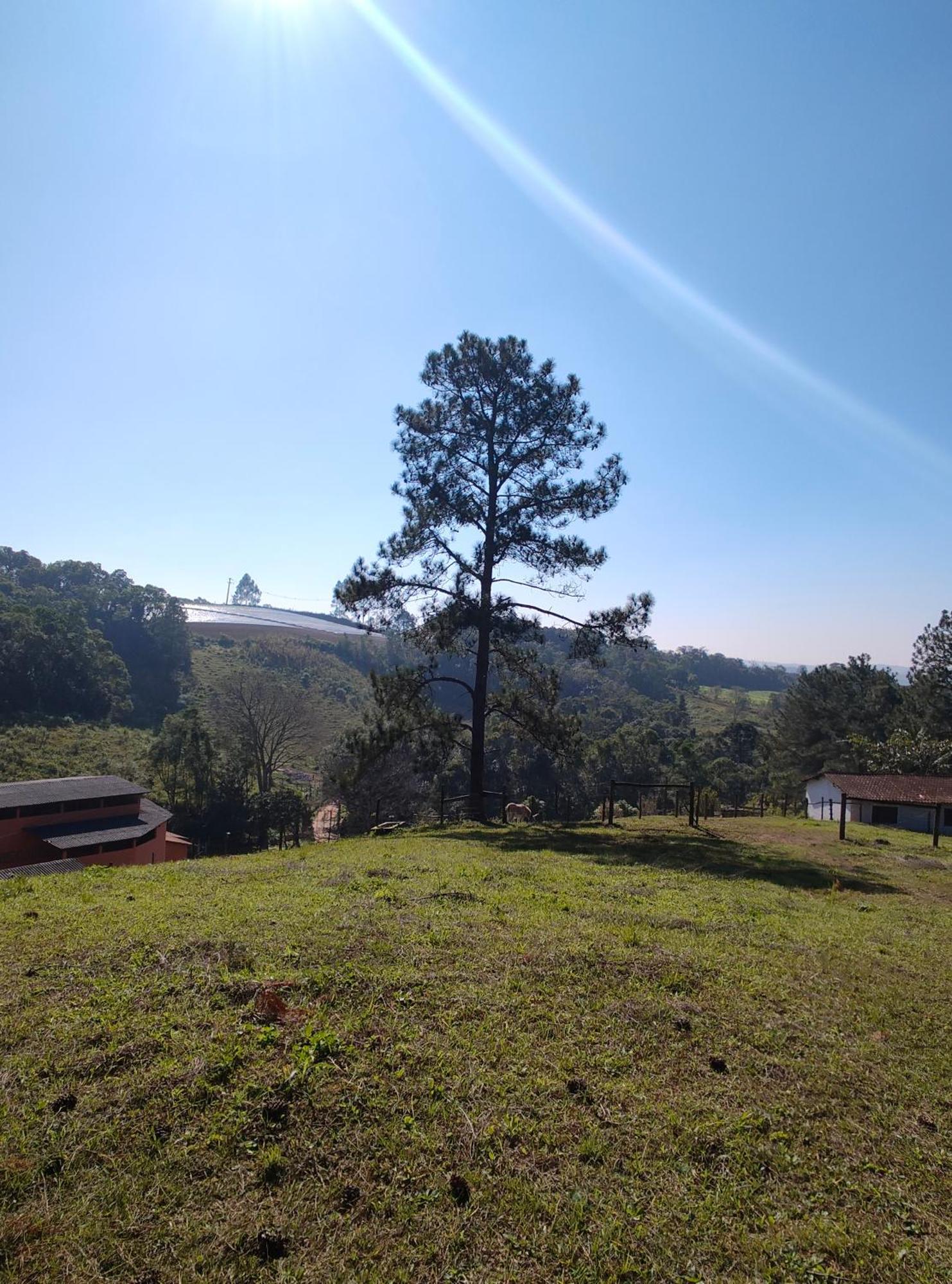 Paineiras Rural Ibiuna