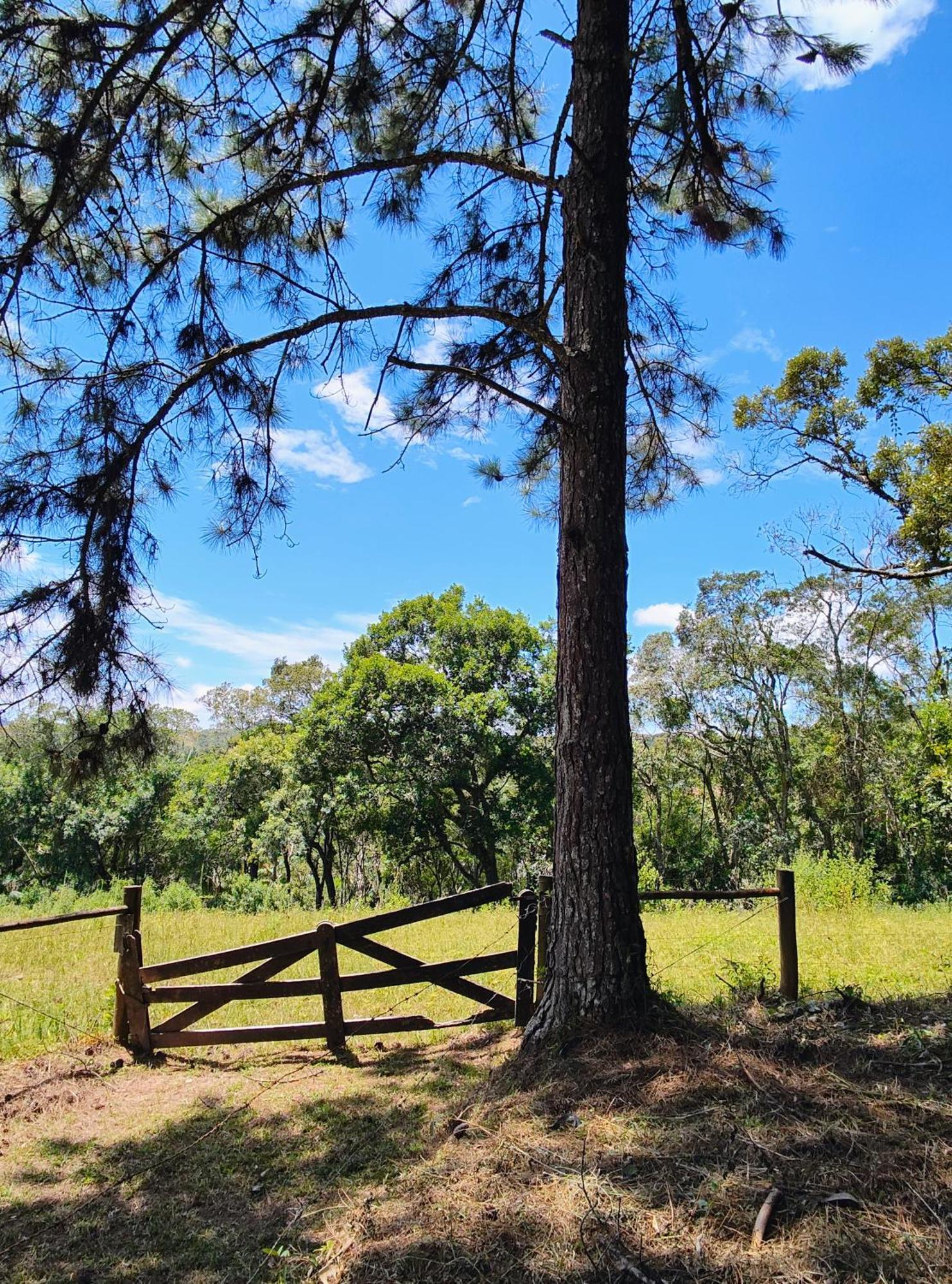 Paineiras Rural * Ibiuna