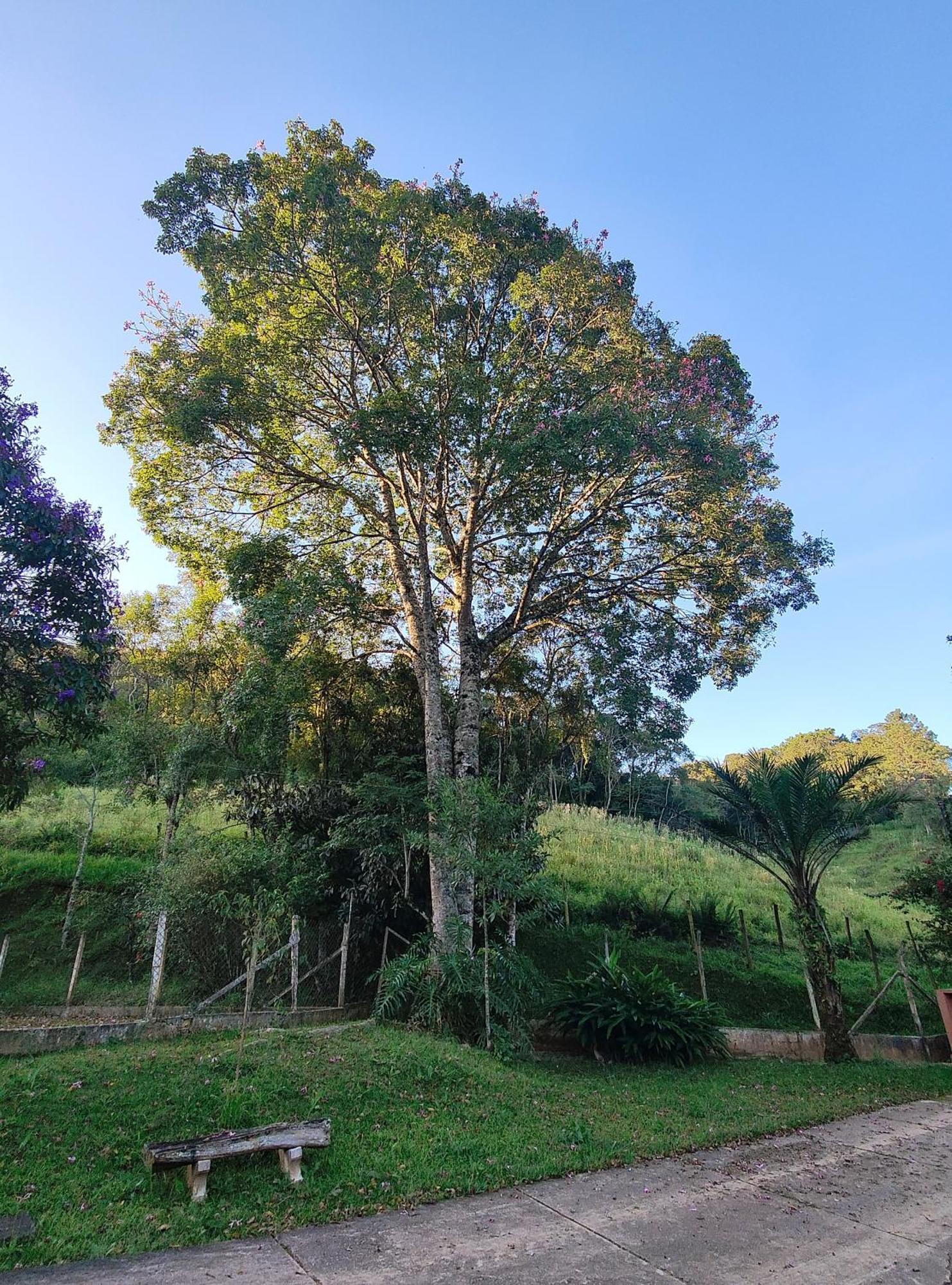 Paineiras Rural * Ibiúna
